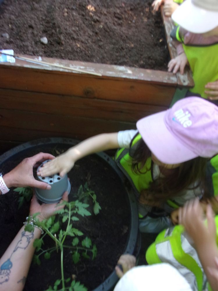 Gärtnern mit Kinder