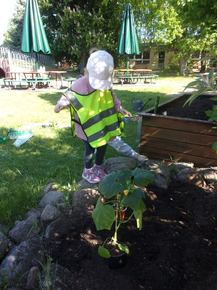 Gärtnern mit Kinder