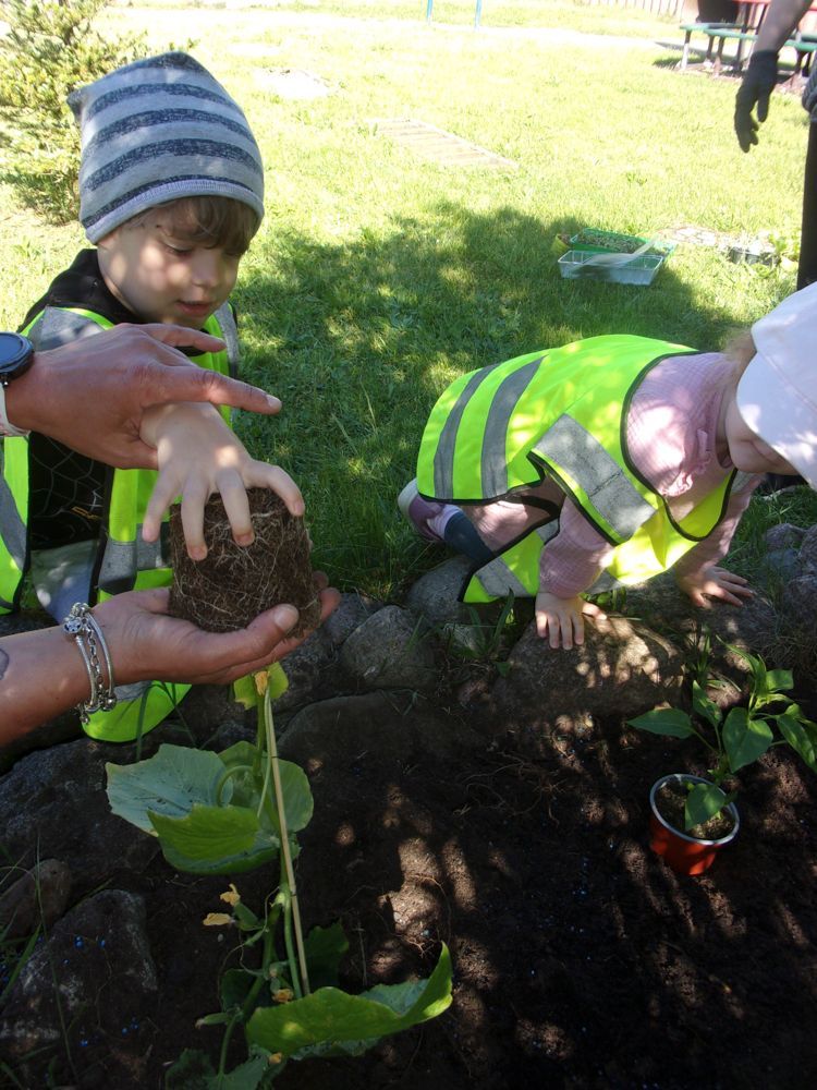 Gärtnern mit Kinder