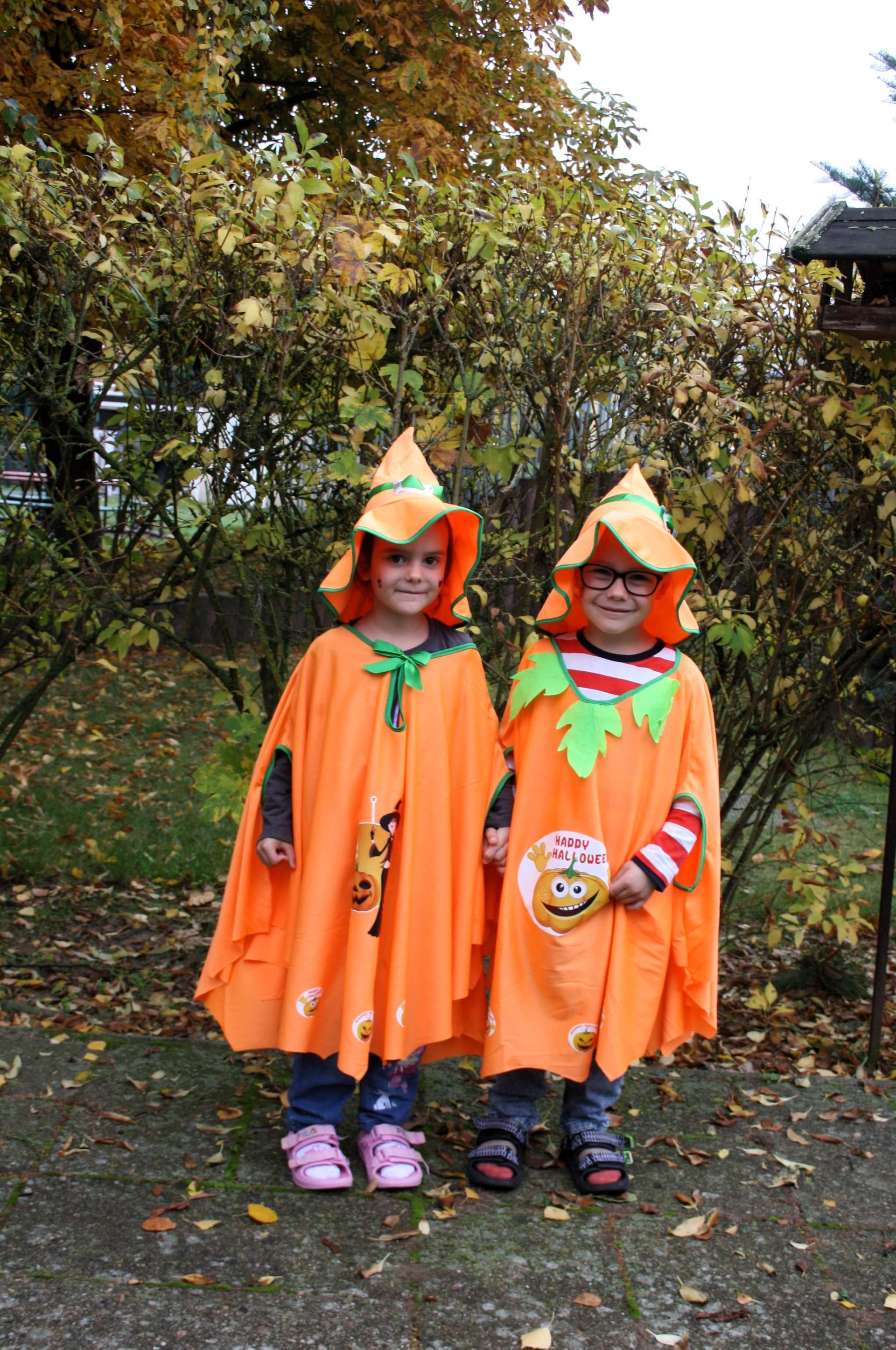 Two children dressed in halloween costumes are standing next to each other
