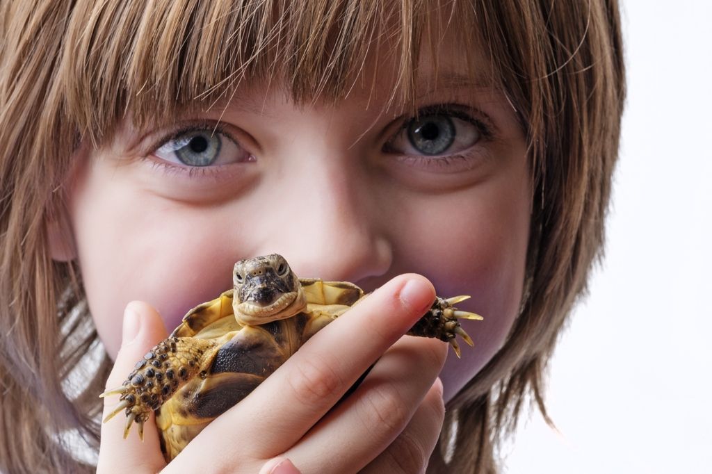 Una niña sostiene una pequeña tortuga frente a su cara.