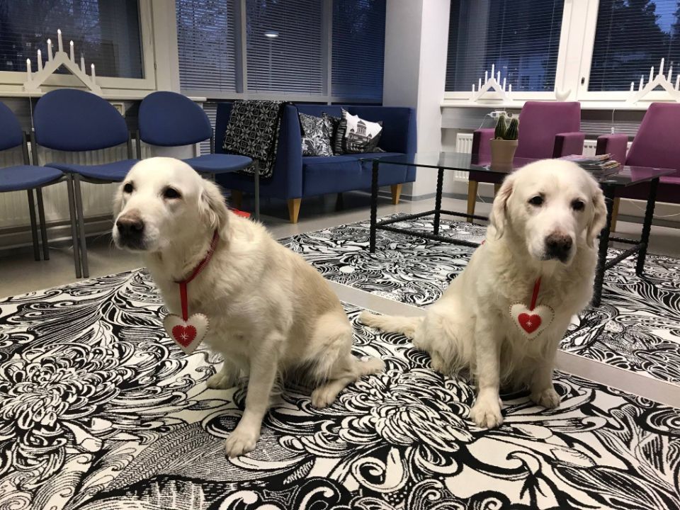 Musiikkikoulu Orbinski Oy