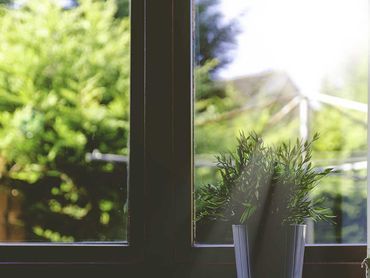 Fenster