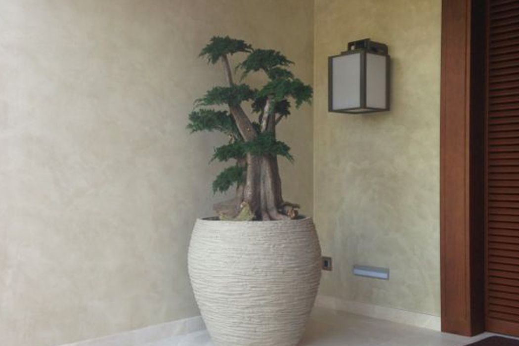 Una gran planta en maceta está sentada en un rincón de una habitación.