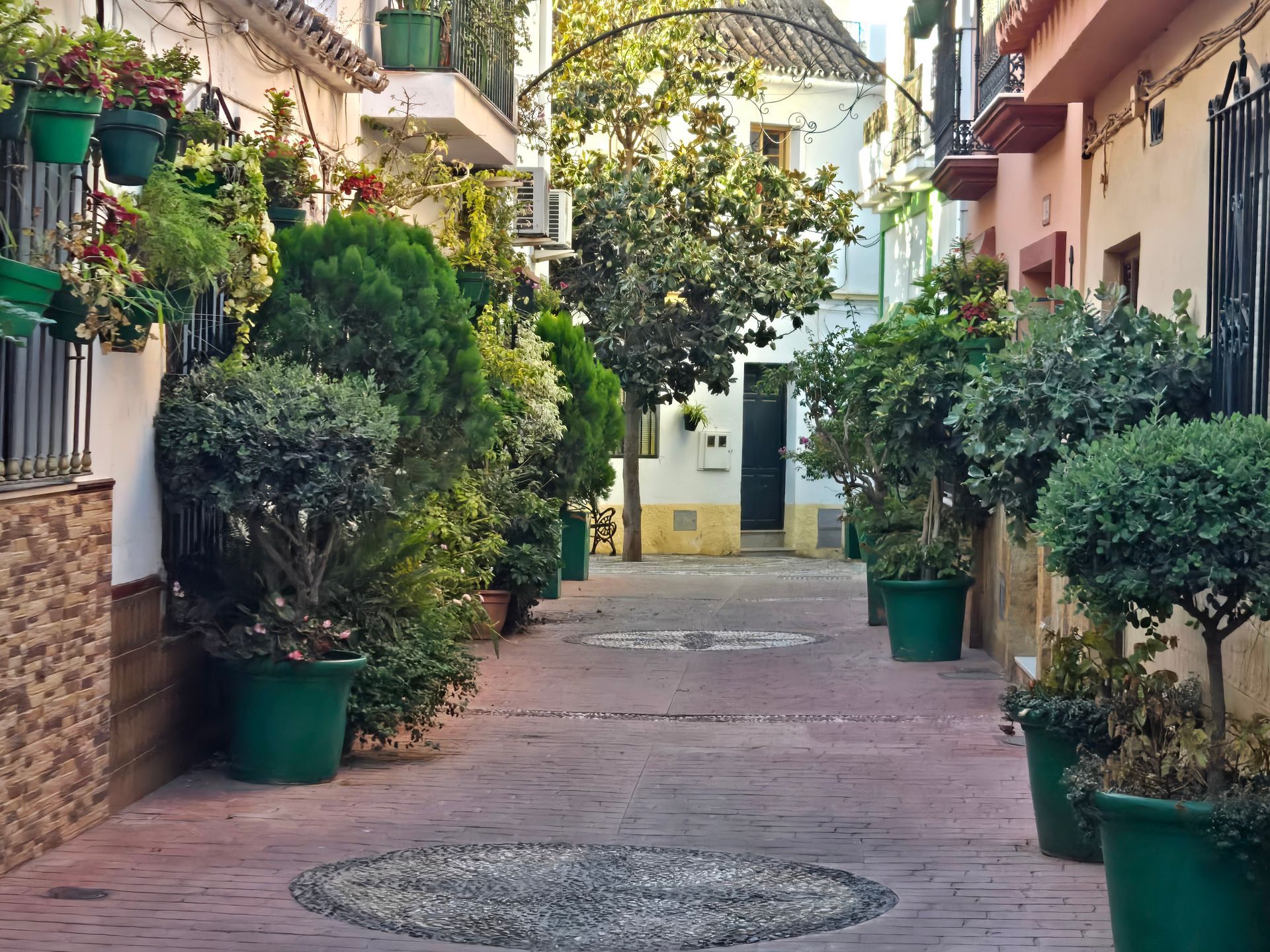 Callejón estrecho en una ciudad de paredes blancas con adoquines, plantas y edificios en un día soleado.