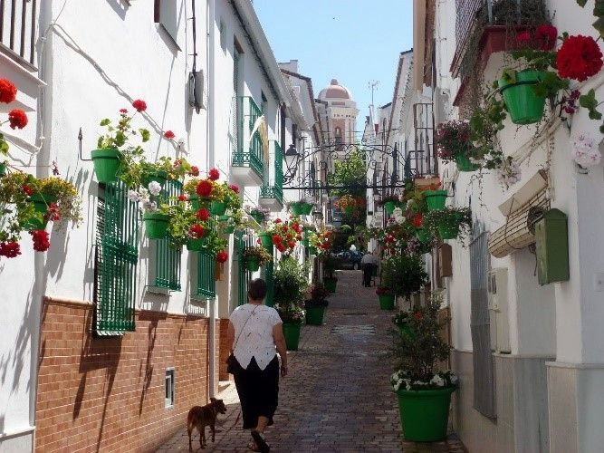 Calle estrecha bordeada de edificios blancos, macetas verdes y flores rojas, con una persona y un perro caminando.