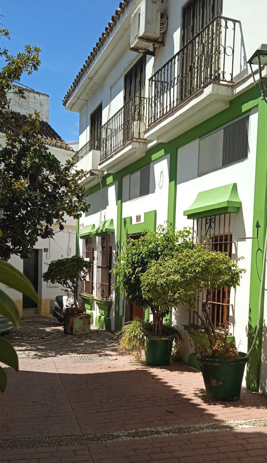 Un patio con edificios blancos, molduras verdes, plantas en macetas y un camino de ladrillos bajo un cielo azul soleado.