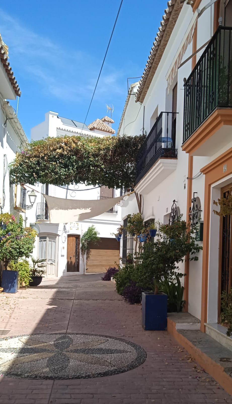 Estrecha calle adoquinada en un soleado pueblo español, bordeada de edificios blancos, plantas en macetas y un frondoso dosel.