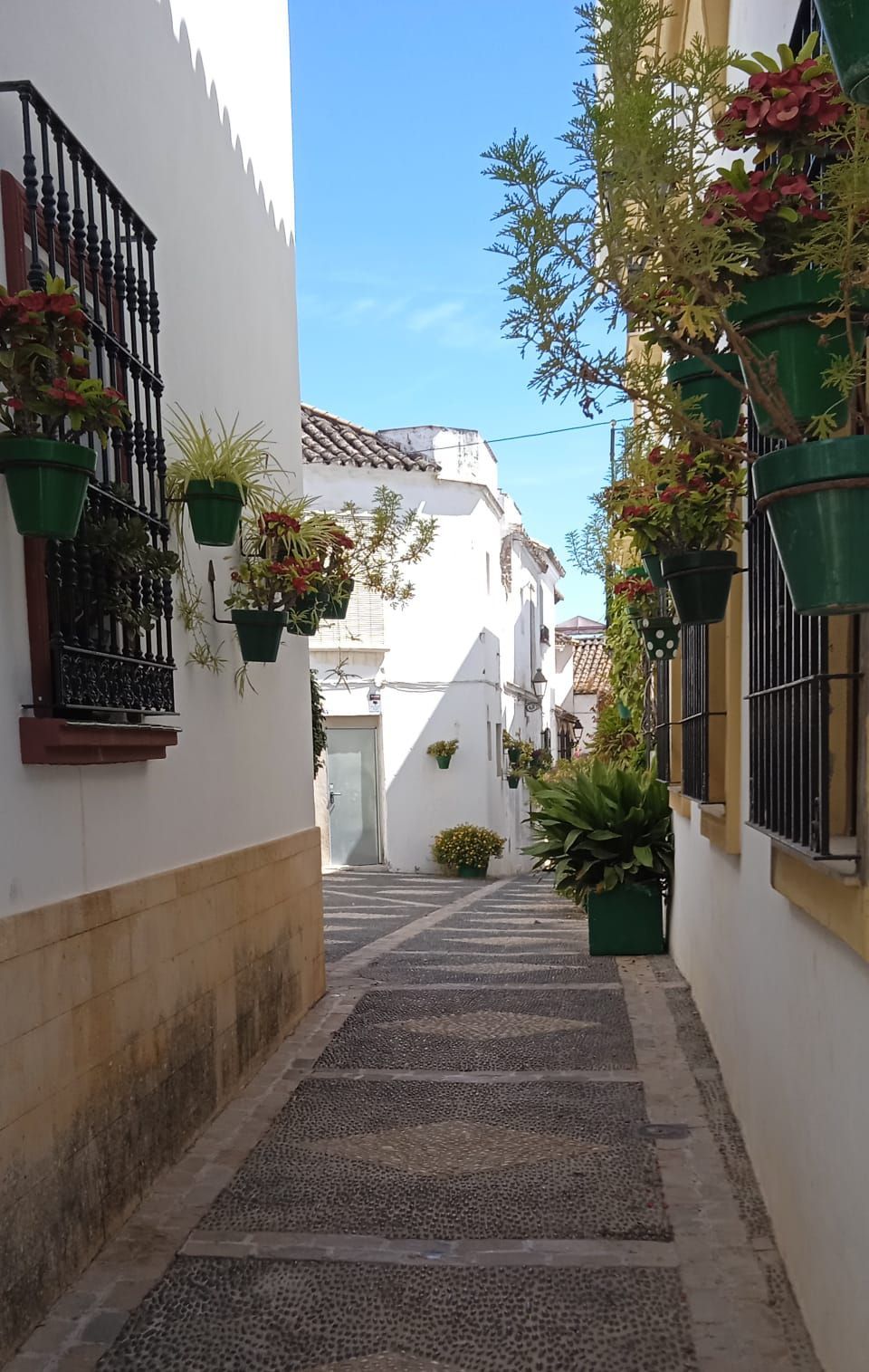 Estrecha calle adoquinada bordeada de edificios blancos adornados con macetas colgantes bajo un cielo azul.