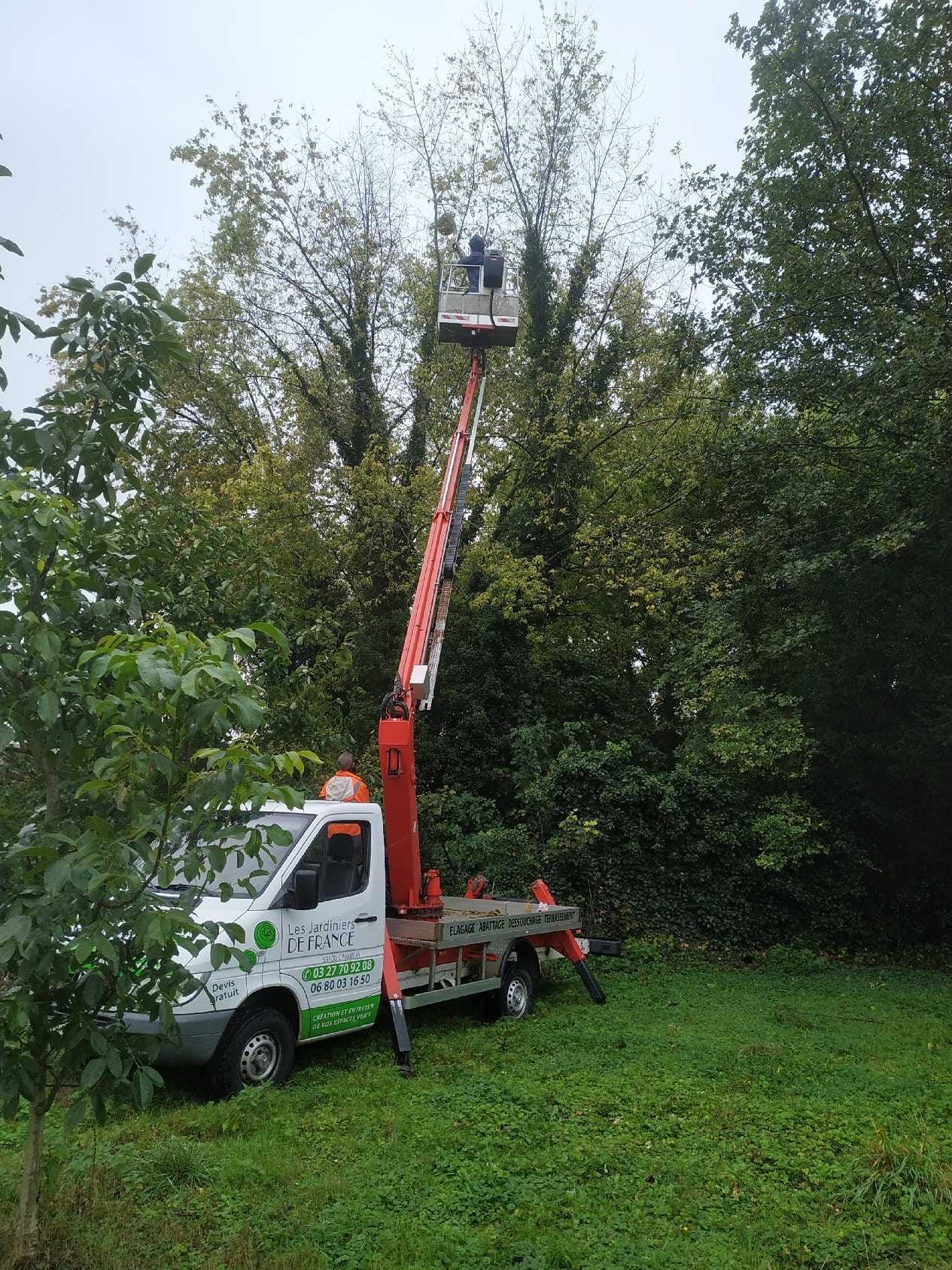 Camion équipé d'une nacelle élévatrice à flèche déployée, en train d'enlever un nid de frelon.