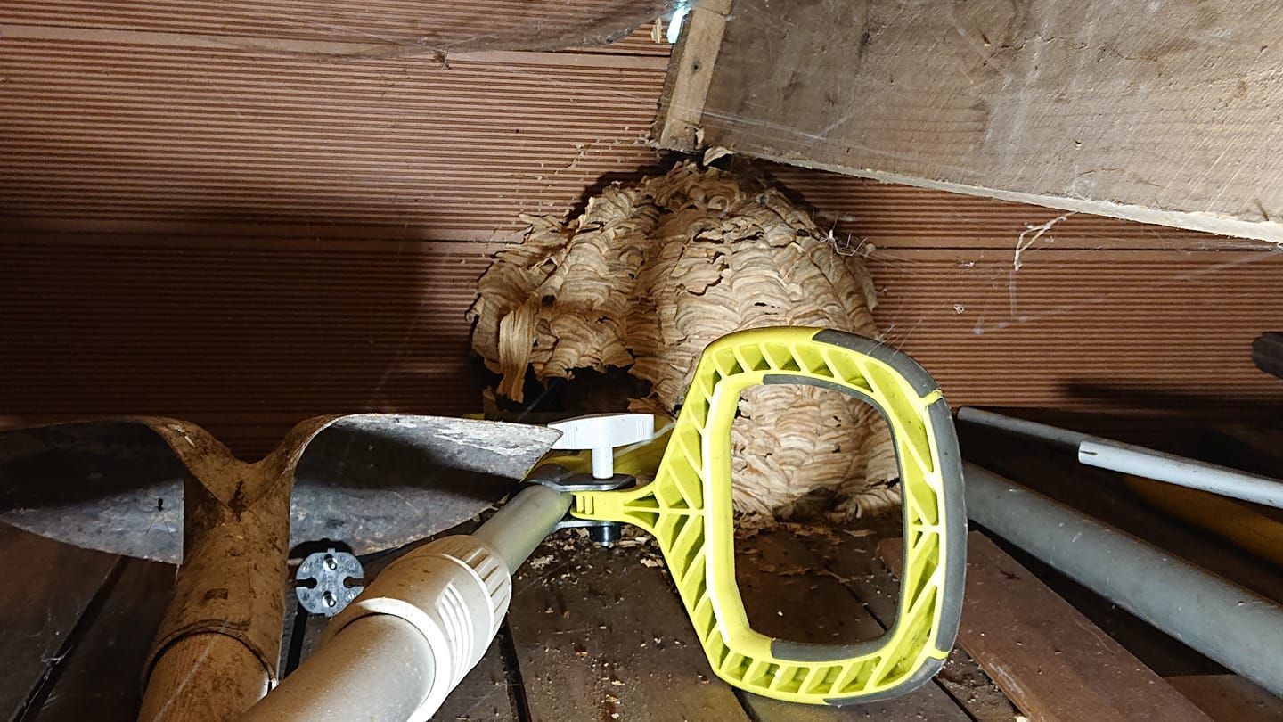 Un nid de guêpes dans un grenier est aspiré avec un outil à manche jaune. Présence de matériaux bruns, de bois et de tuyaux.