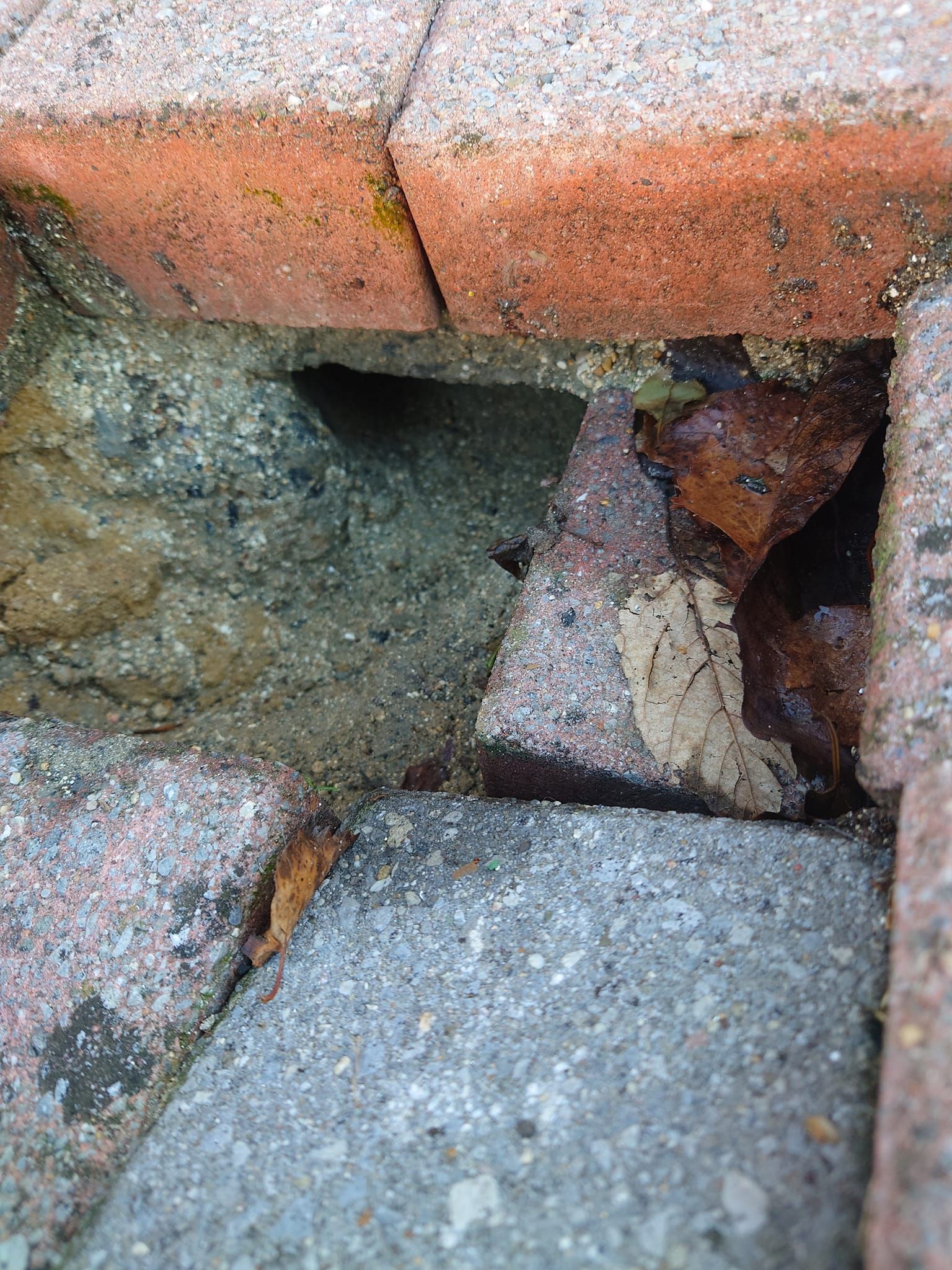 Trou dans la maçonnerie entre des briques rouges et grises.