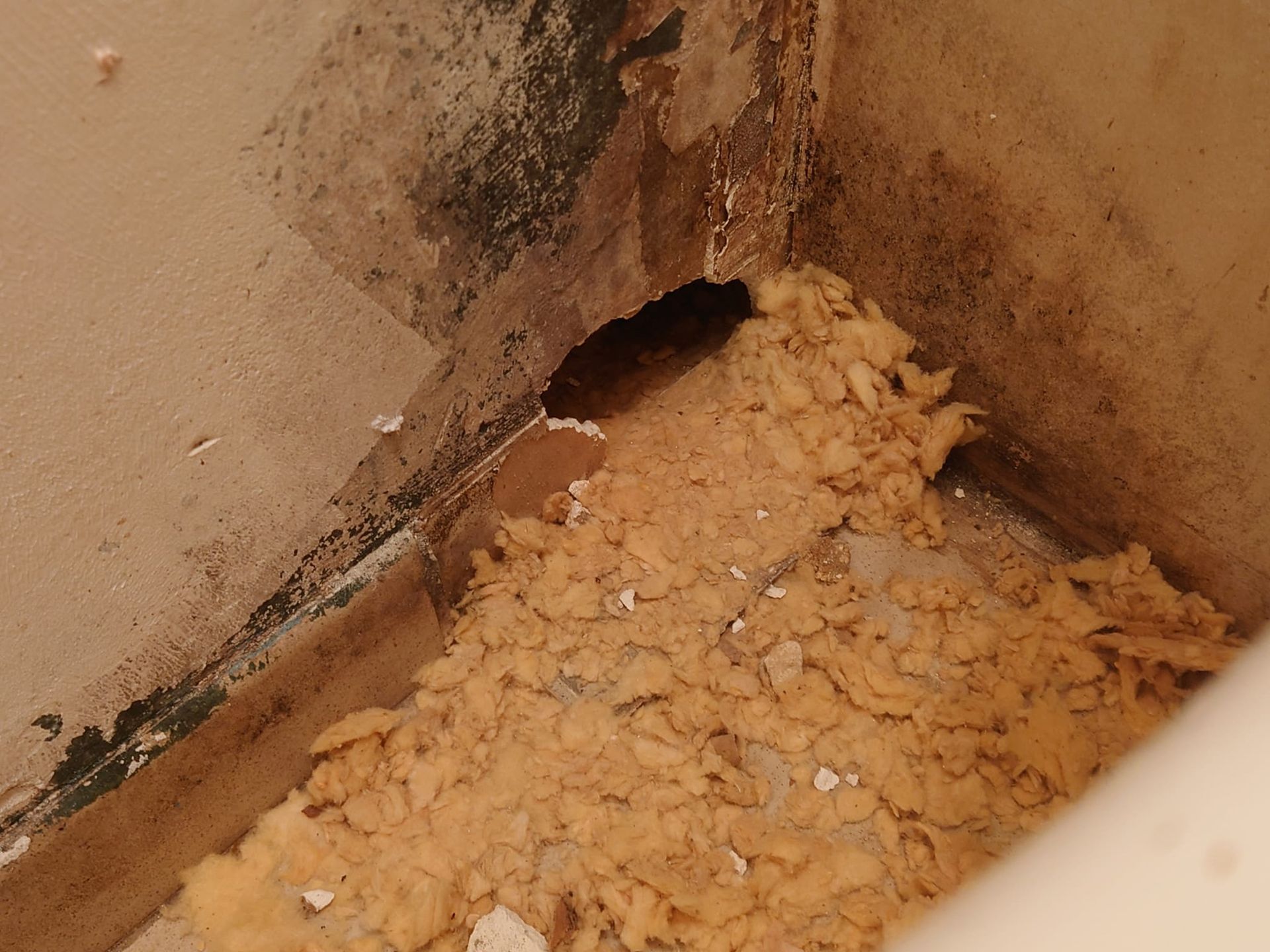 Coin d'une pièce présentant des dégâts visibles et un trou dans le mur, avec de l'isolant jaune apparent et des moisissures.