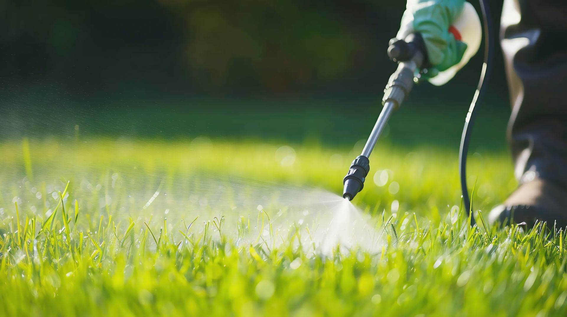 Une personne pulvérise un pesticide sur une pelouse verte.