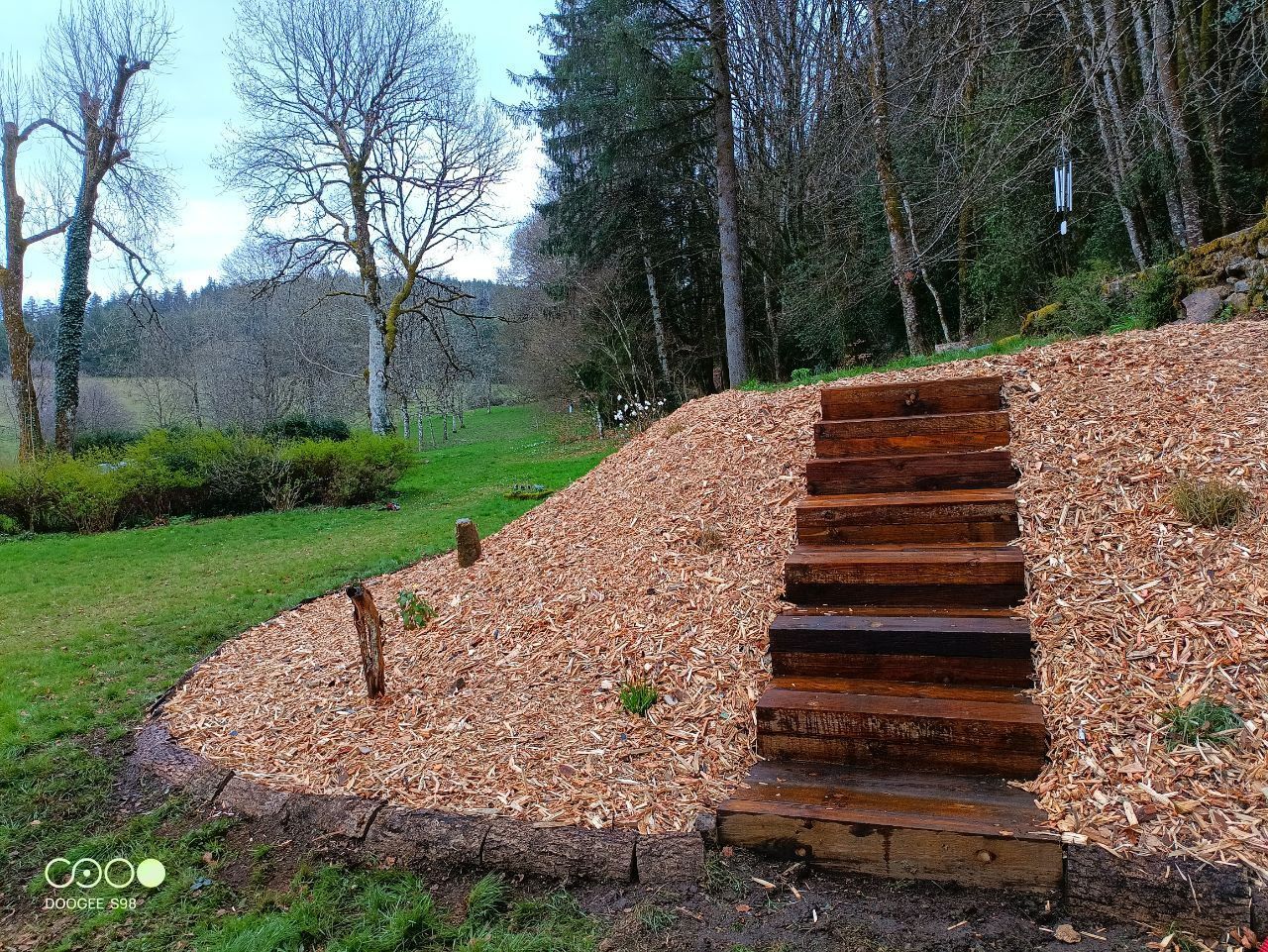 Des marches en bois aménagées dans une cour en pente recouverte de copeaux de bois mènent à une zone boisée.