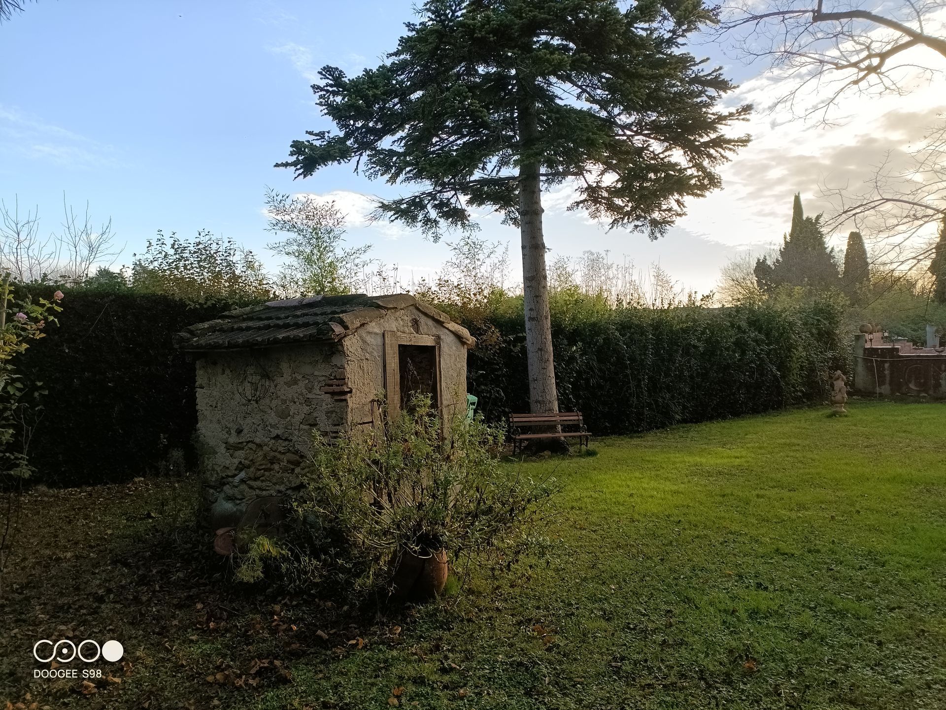 Structure en pierre, arbre et haie dans une cour herbeuse sous un ciel bleu et nuageux.