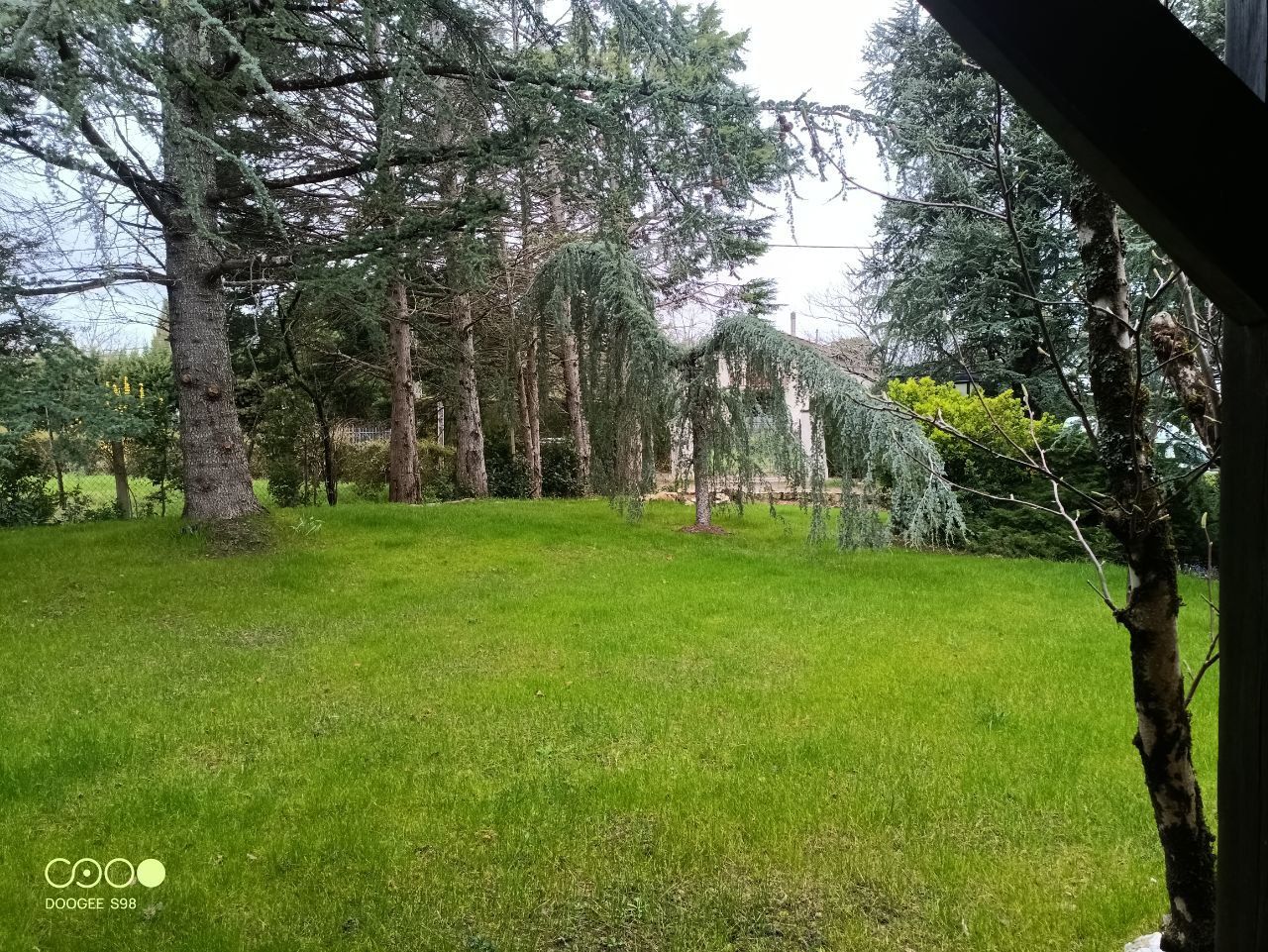 Pelouse verdoyante luxuriante avec des arbres en arrière-plan, visible depuis un espace couvert soutenu par un poteau en bois.