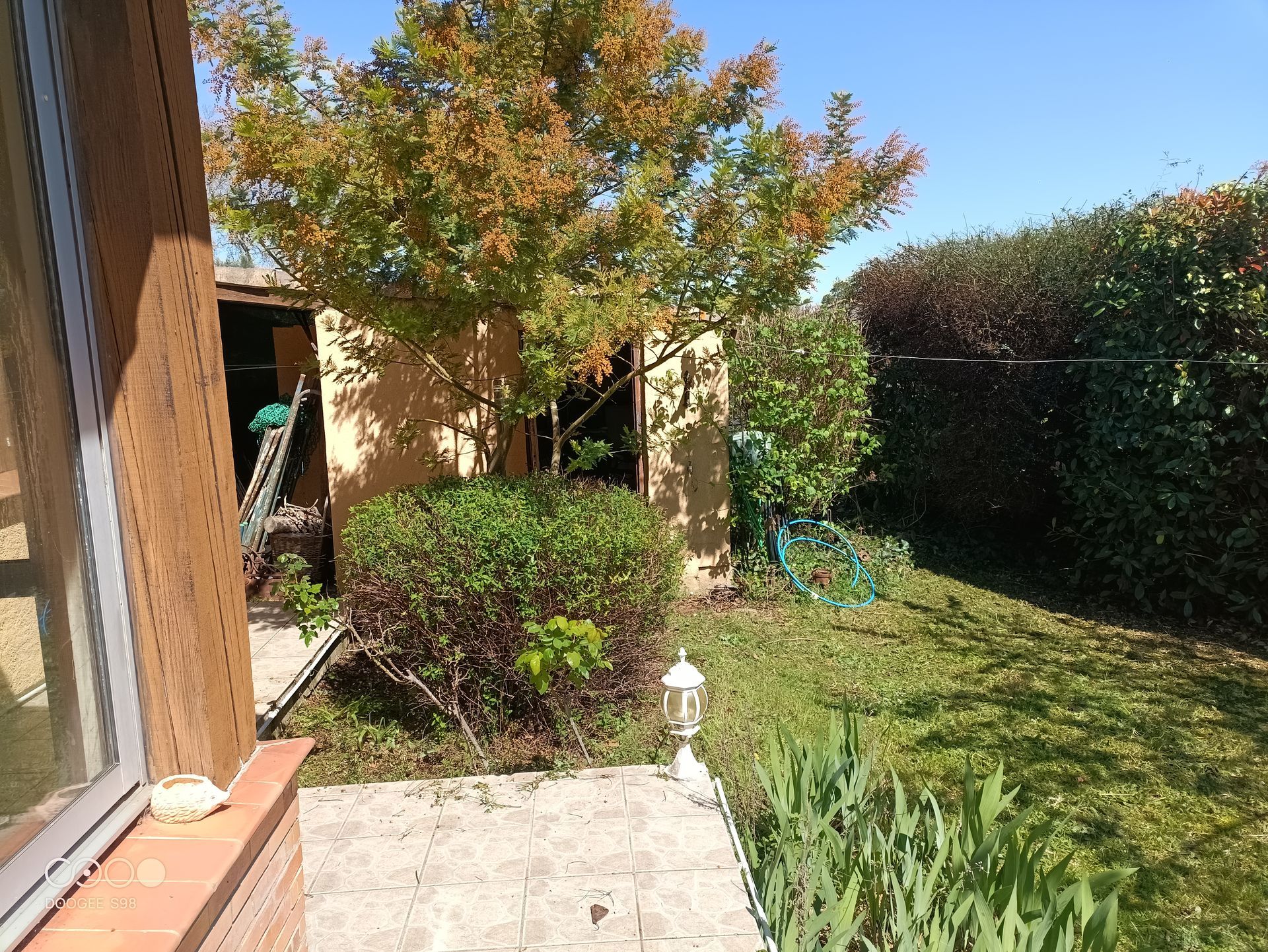 Scène de jardin avec un arbre, un abri de jardin, des buissons et de l'herbe verte.