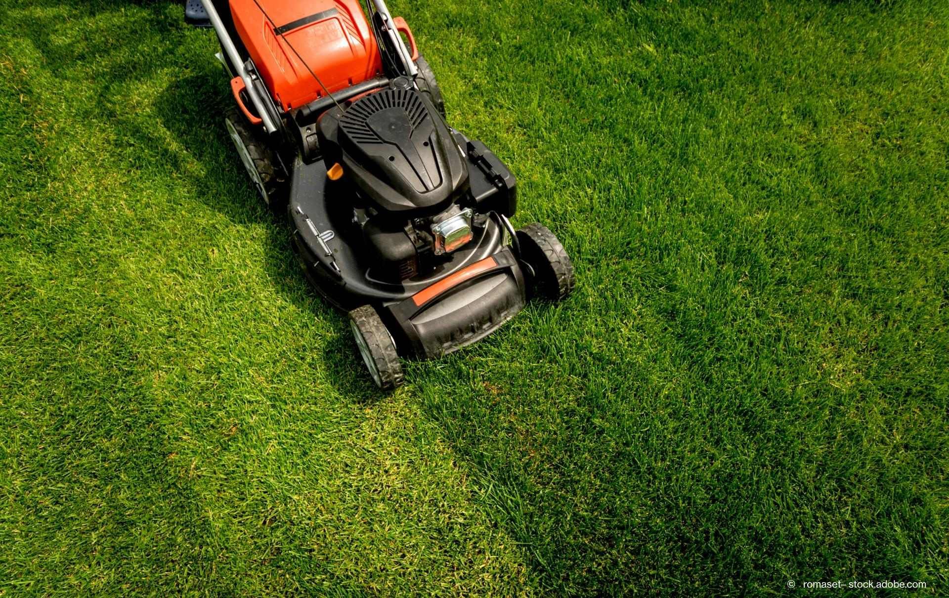 Rasenmäher auf einem Rasen