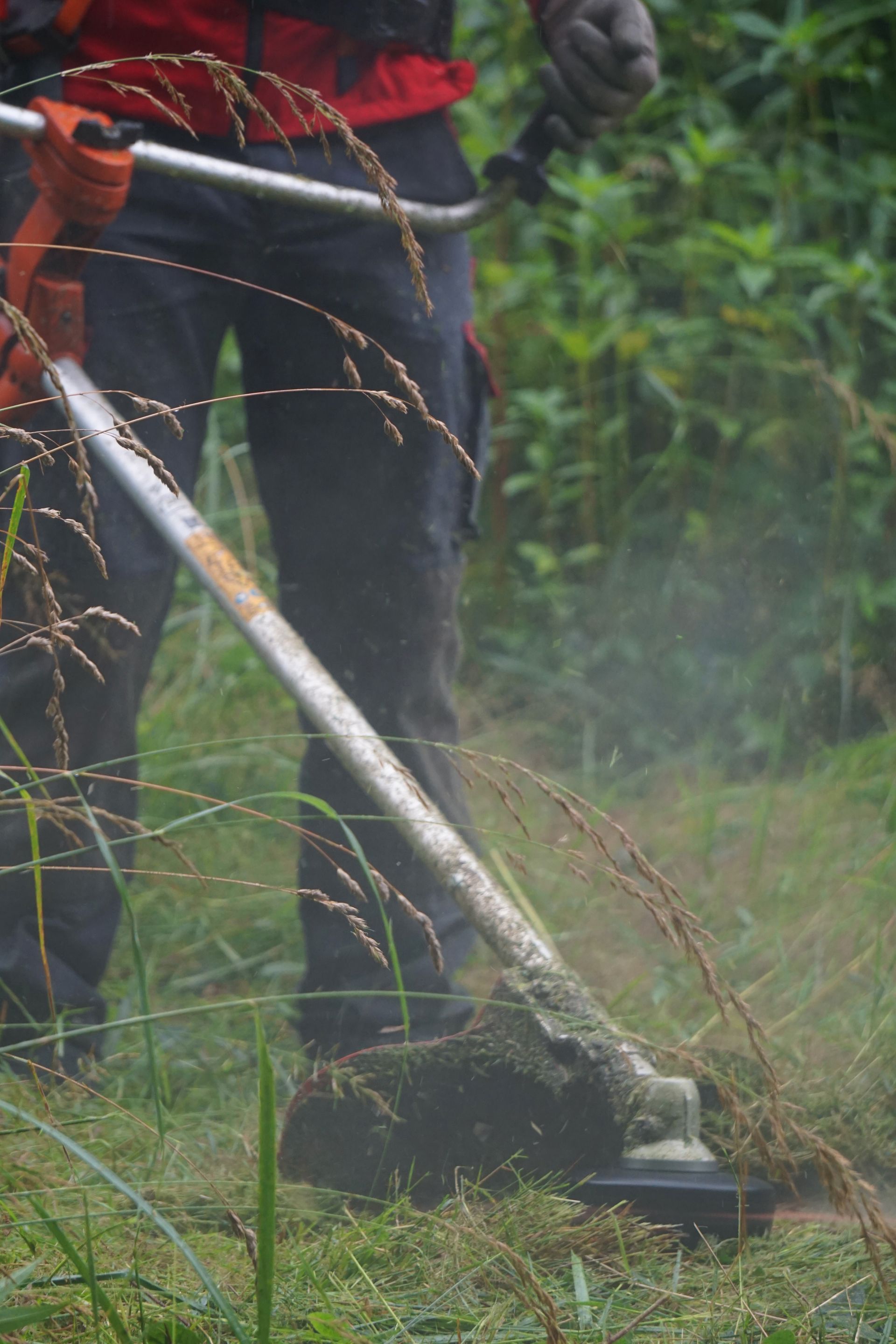 Sebastian Hauser hilft bei der Grünpflege
