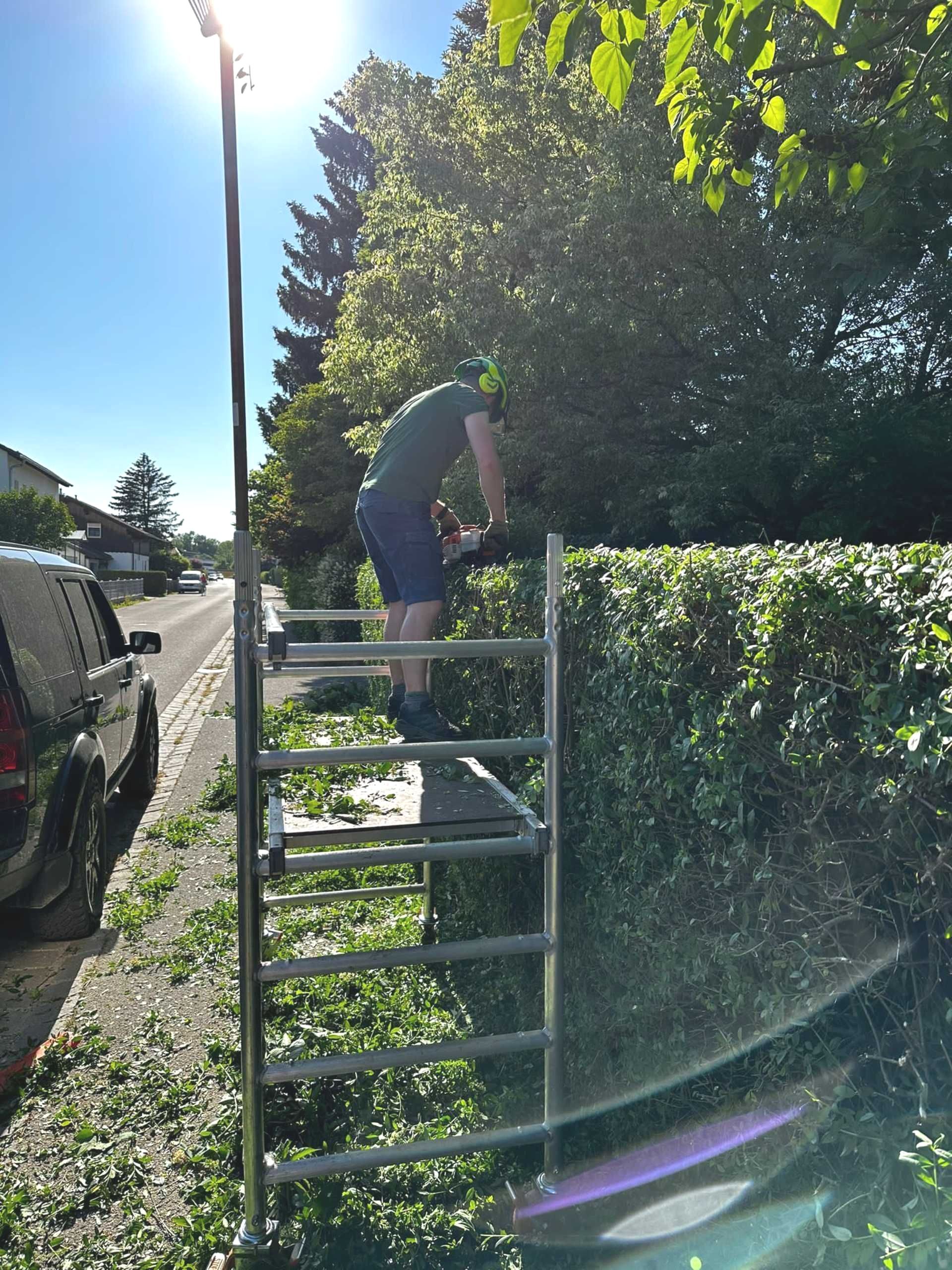 Sebastian Hauser hilft beim Formschnitt einer Hecke