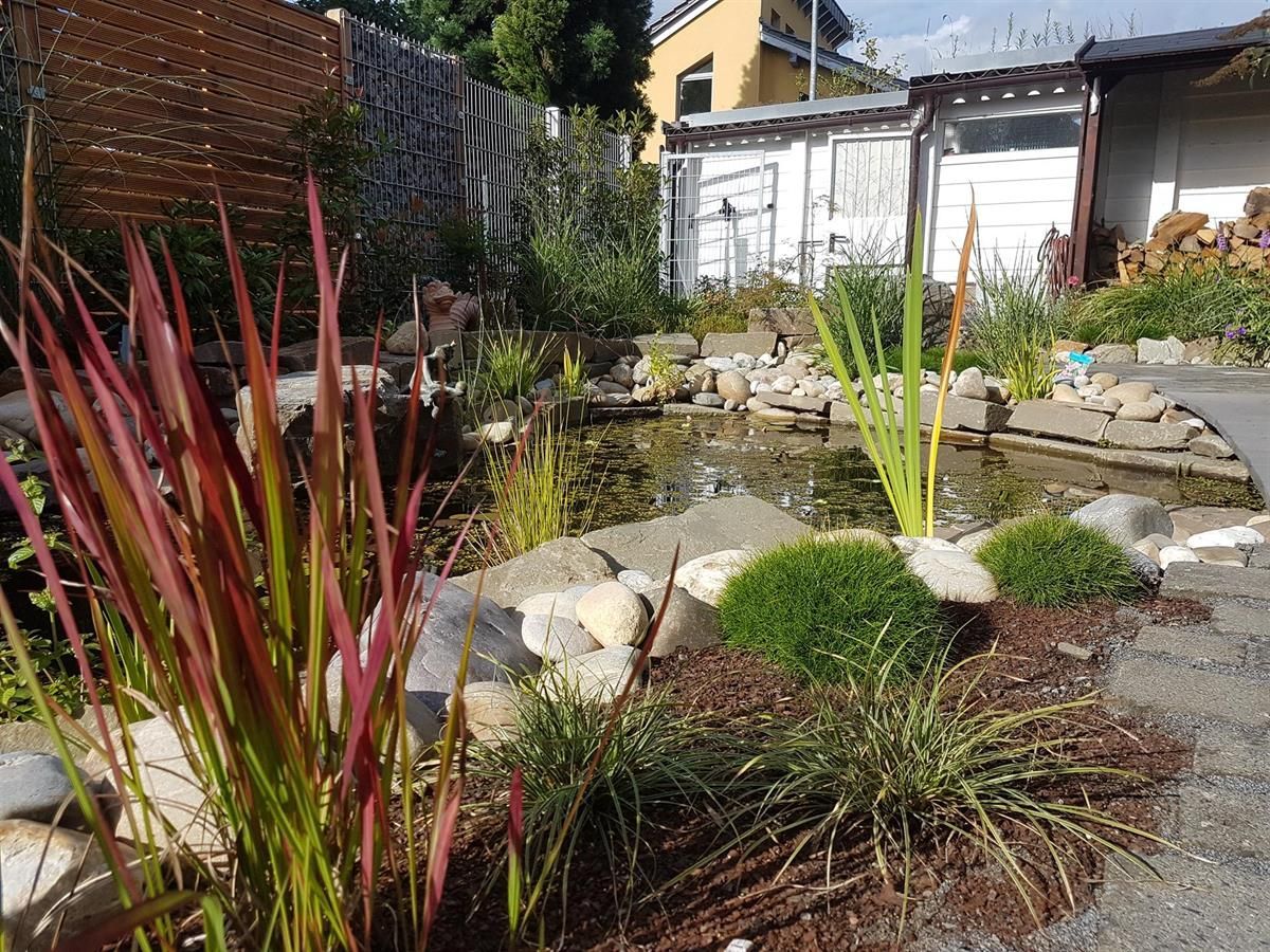 Ein Garten mit einem Teich in der Mitte