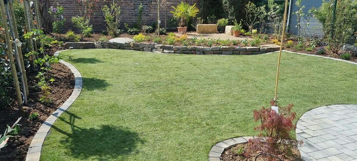 Ein üppiger grüner Rasen mit einem Baum in der Mitte