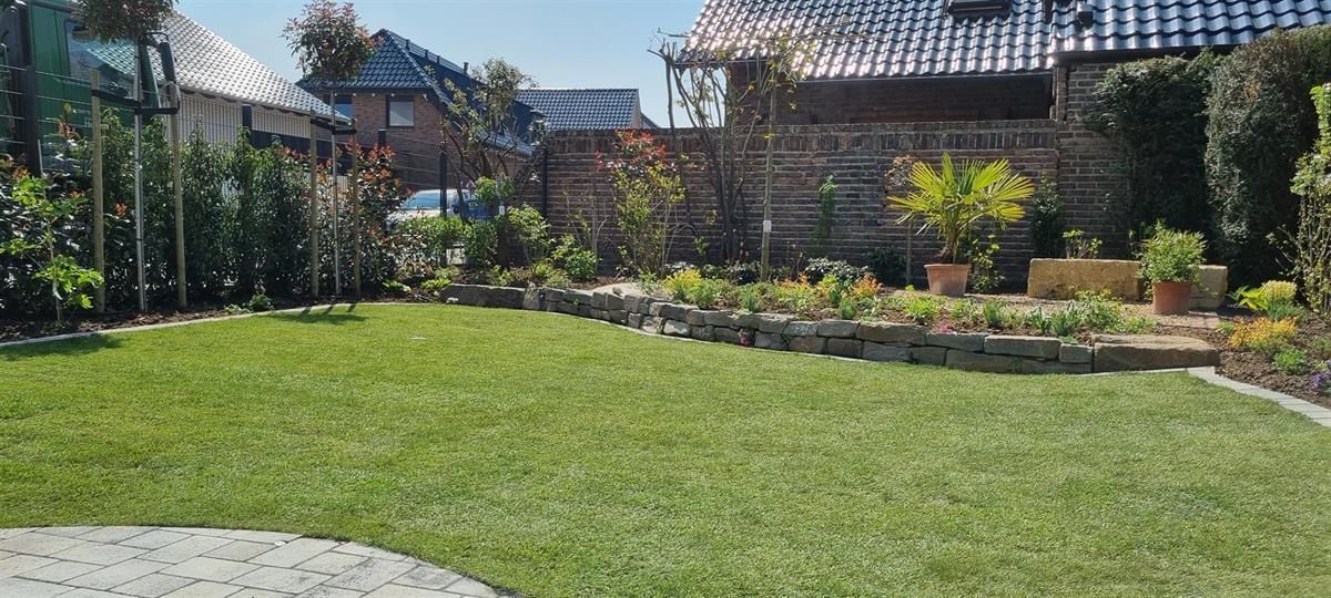 Ein üppiger grüner Rasen in einem Hinterhof mit einem Haus im Hintergrund.