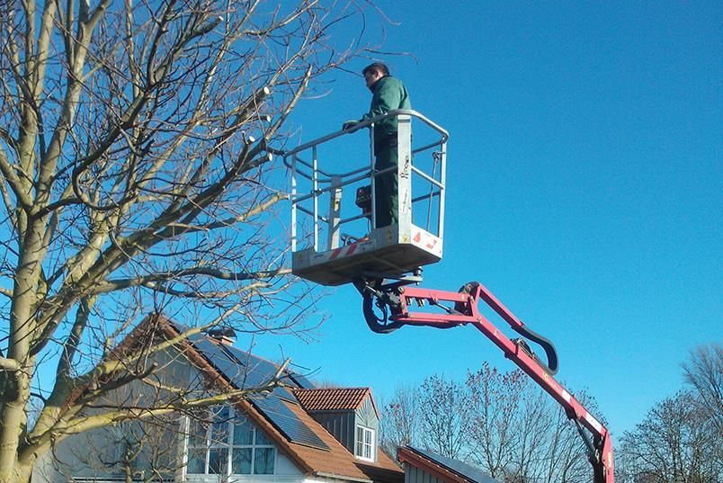 Ein Mann steht in einem Eimer auf einem Kran