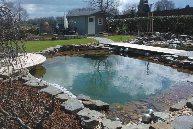 Ein großer Teich in einem Garten mit einem Schuppen im Hintergrund