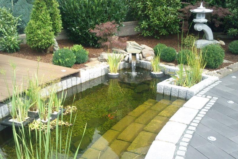 Ein Teich mit einem Springbrunnen in der Mitte