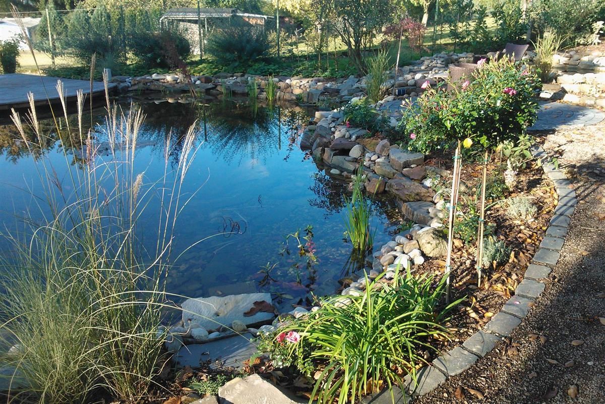 Ein Teich, umgeben von Felsen und Blumen in einem Garten