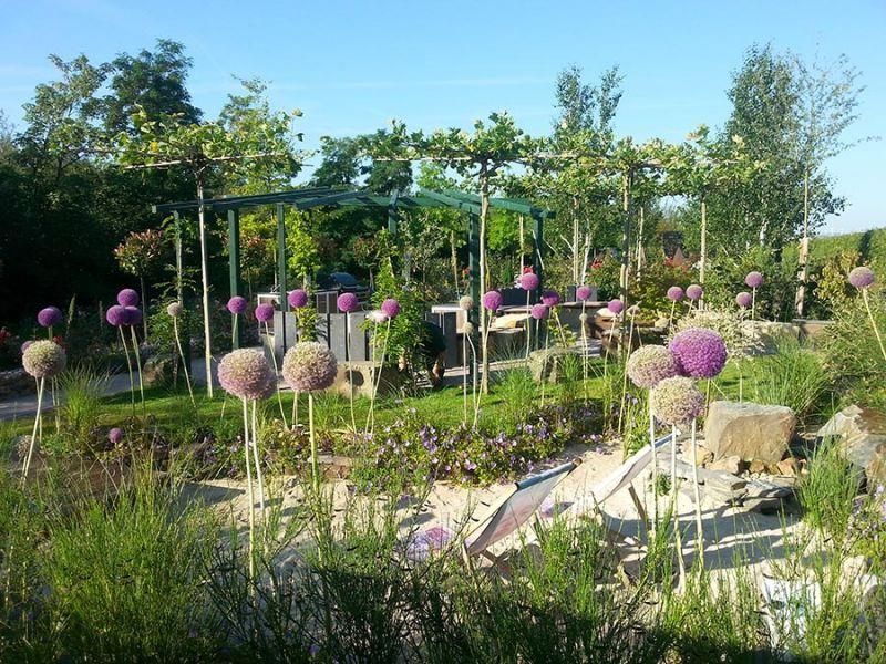 Ein üppiger grüner Garten mit lila Blumen und Bäumen