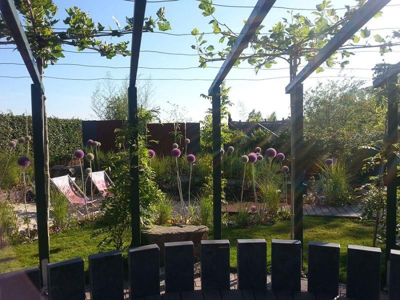 Ein Garten mit einer Pergola und lila Blumen