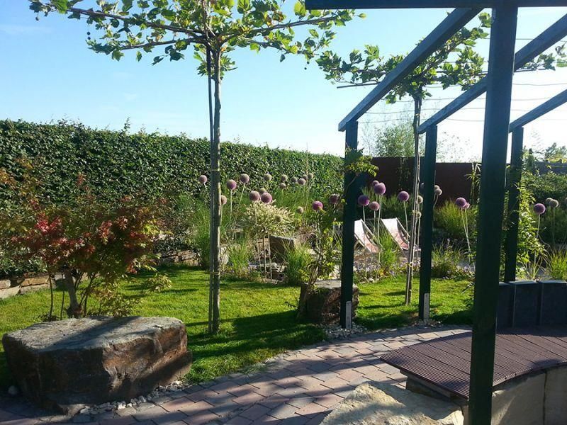 Ein üppiger grüner Garten mit einer Pergola und lila Blumen