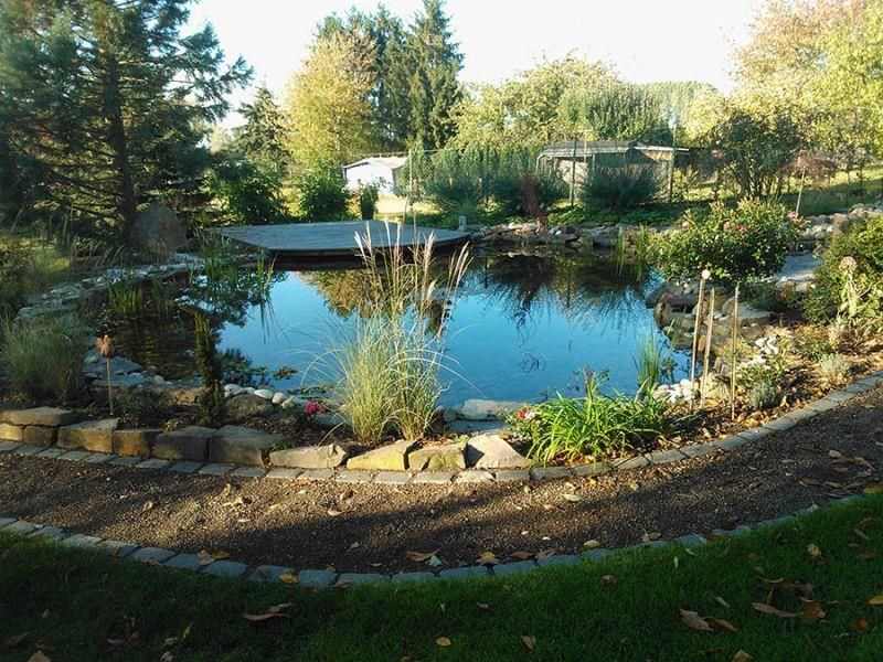 Ein Teich mit einem Steg in der Mitte