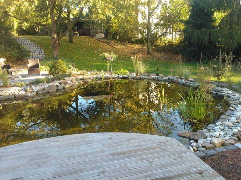 Ein großer Teich mit einer Holzbrücke im Vordergrund