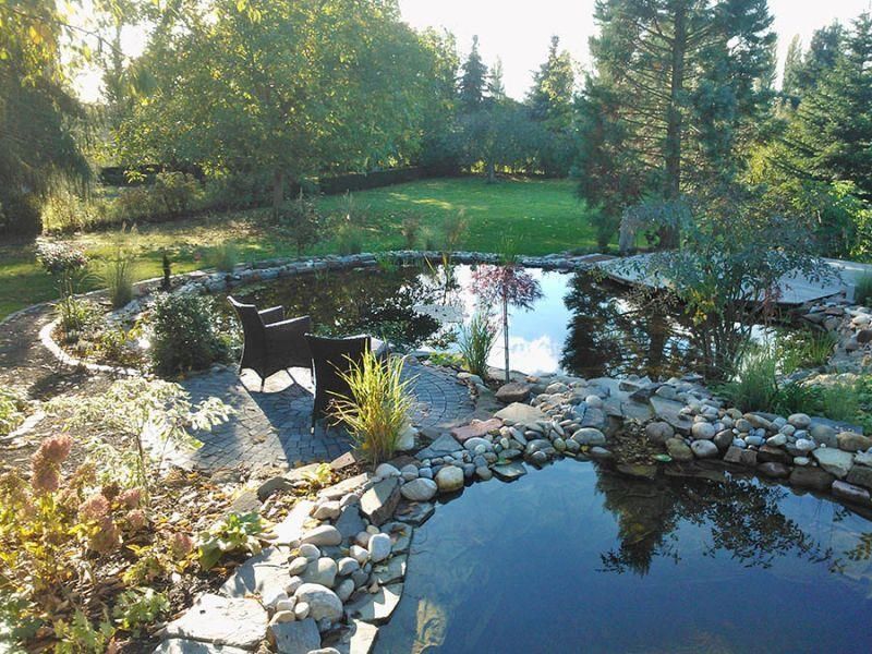 Ein Teich, umgeben von Felsen und Bäumen in einem Garten