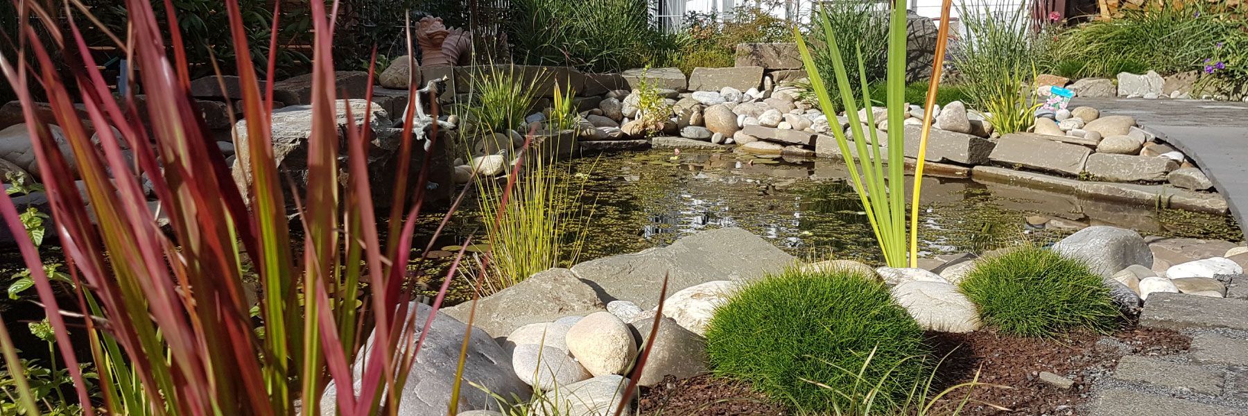 Ein Garten mit einem Teich, umgeben von Felsen und Pflanzen