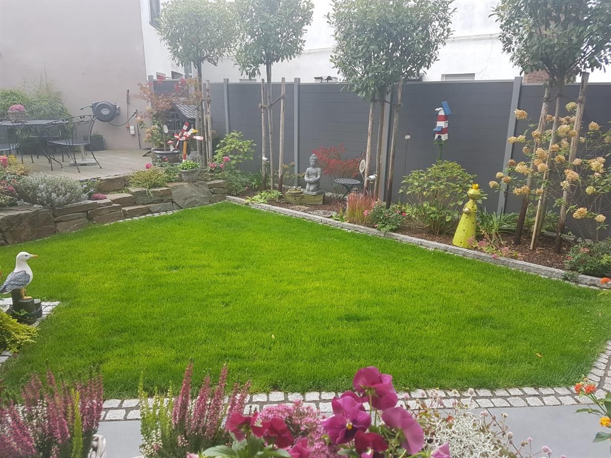 Ein üppiger grüner Rasen mit lila Blumen im Vordergrund