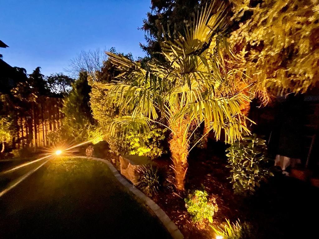 Eine Auffahrt mit Palmen, die nachts beleuchtet sind