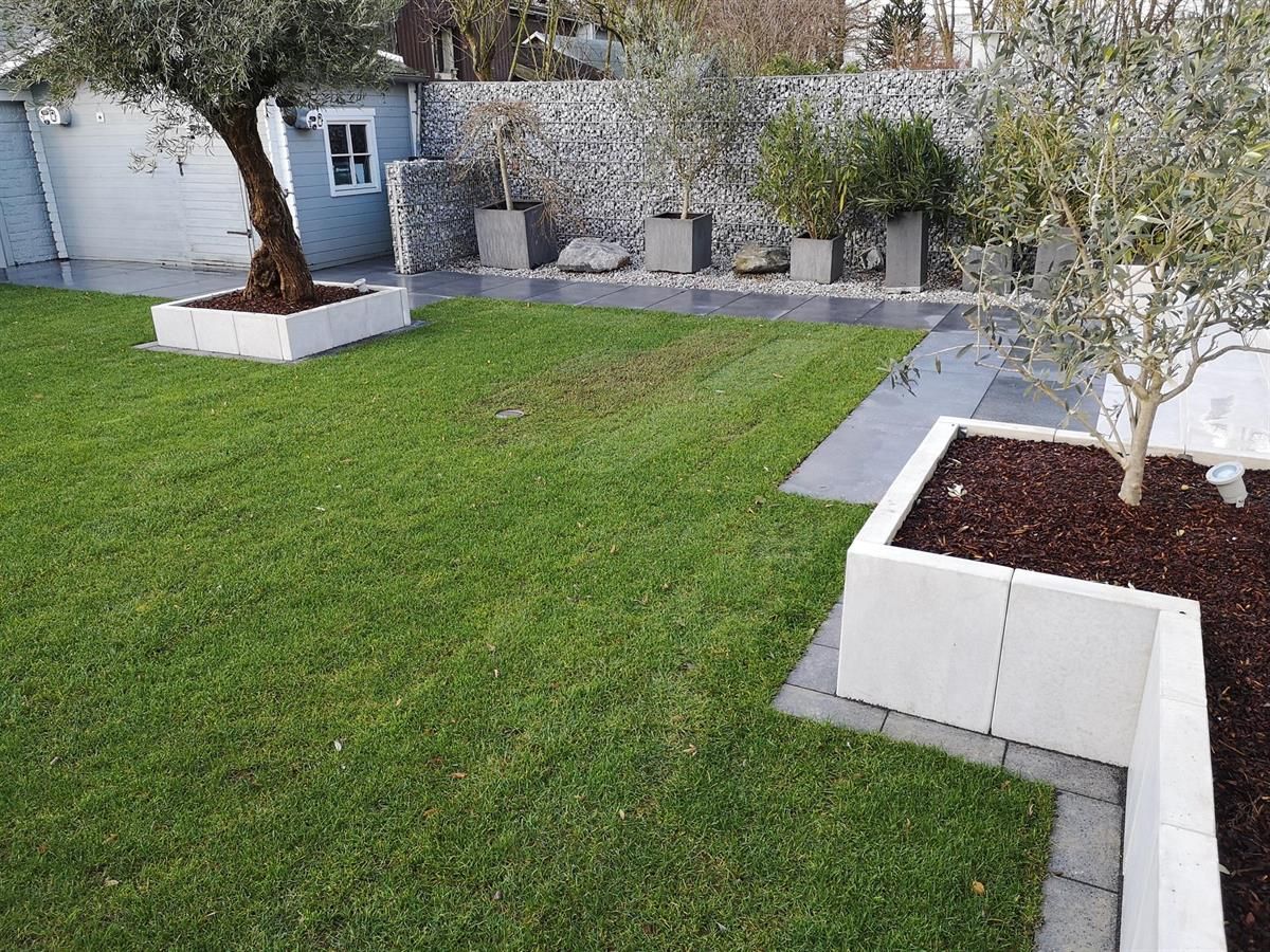 Ein üppiger grüner Rasen mit weißen Pflanzkübeln und Bäumen