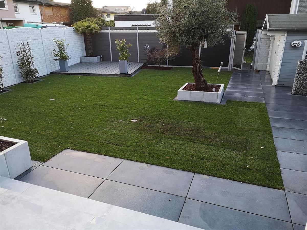 Ein üppiger grüner Rasen mit einem Baum in der Mitte