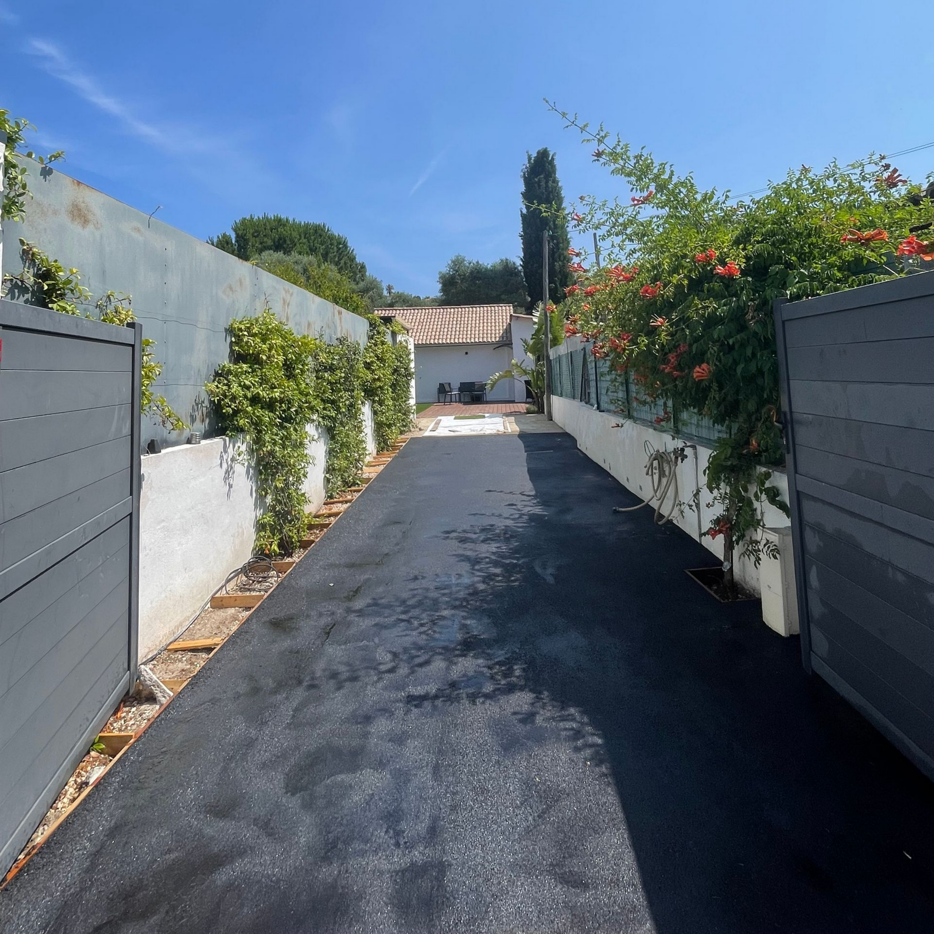 Une allée en goudron entourée de murs recouverts de végétation.