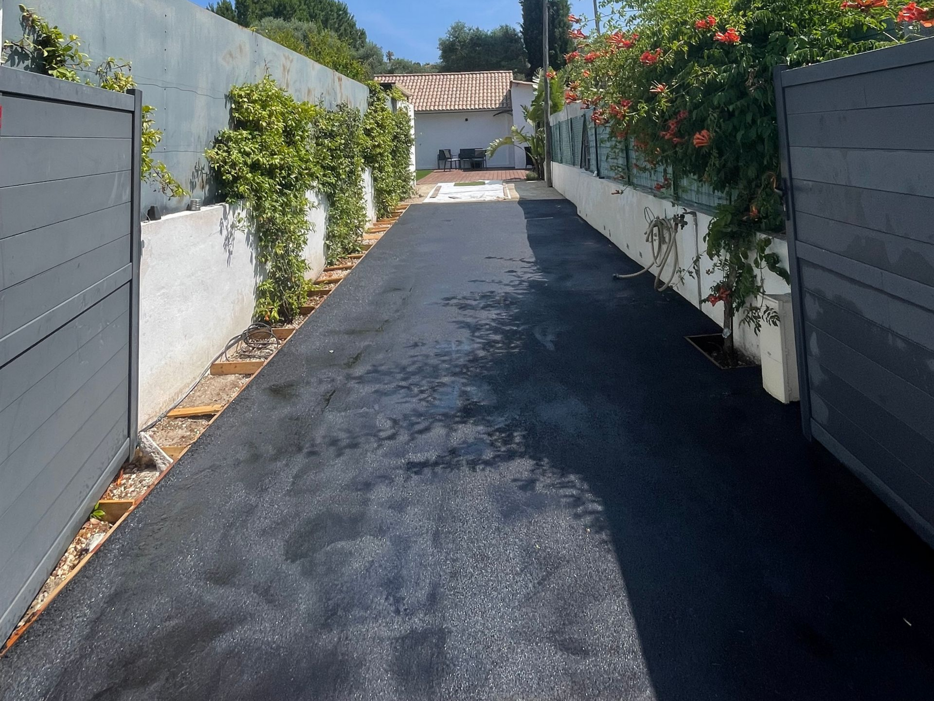 Une allée en goudron entourée de murs recouverts de végétation.
