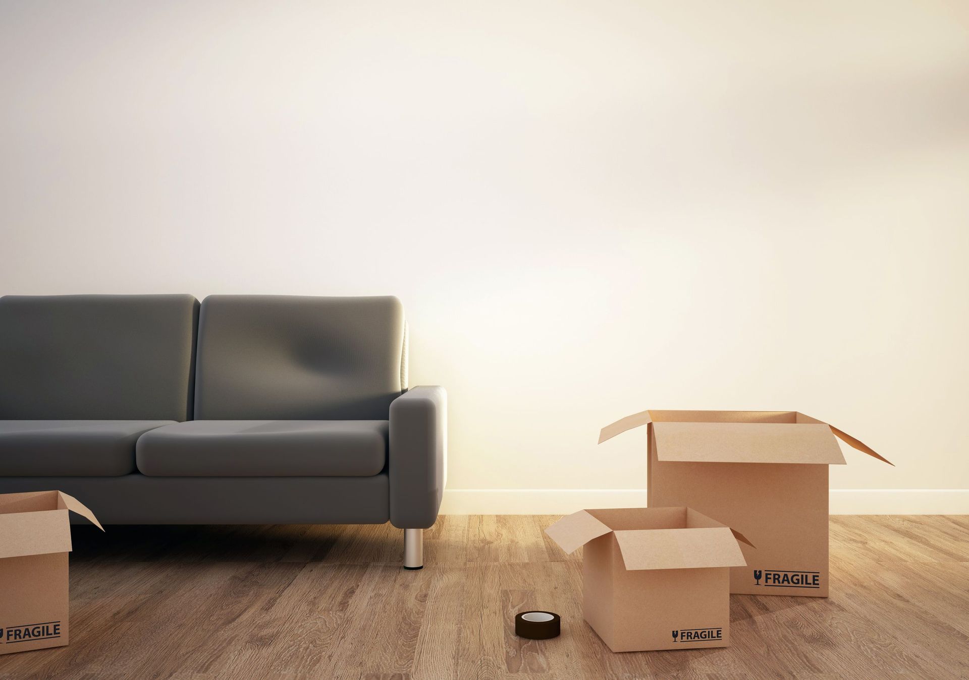 Cartons pour assiettes à disposition - Boegli Patrick