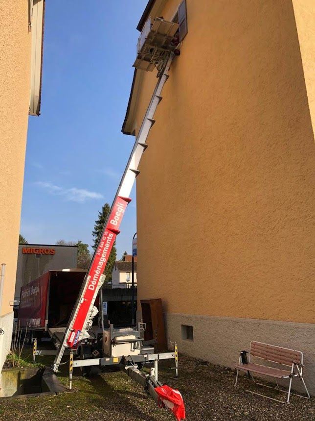 Cartons pour assiettes à disposition - Boegli Patrick