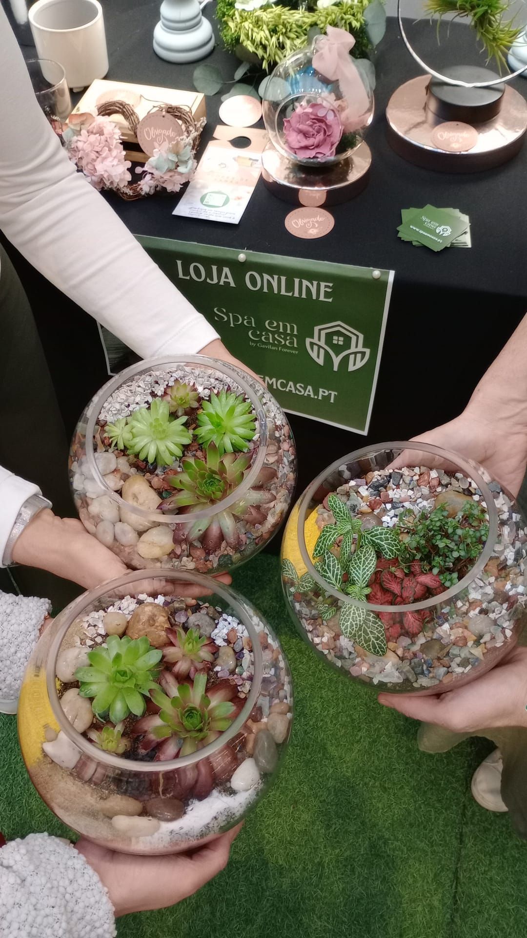 Manos que sostienen tres terrarios de cristal con plantas suculentas en un puesto de un mercado de plantas.