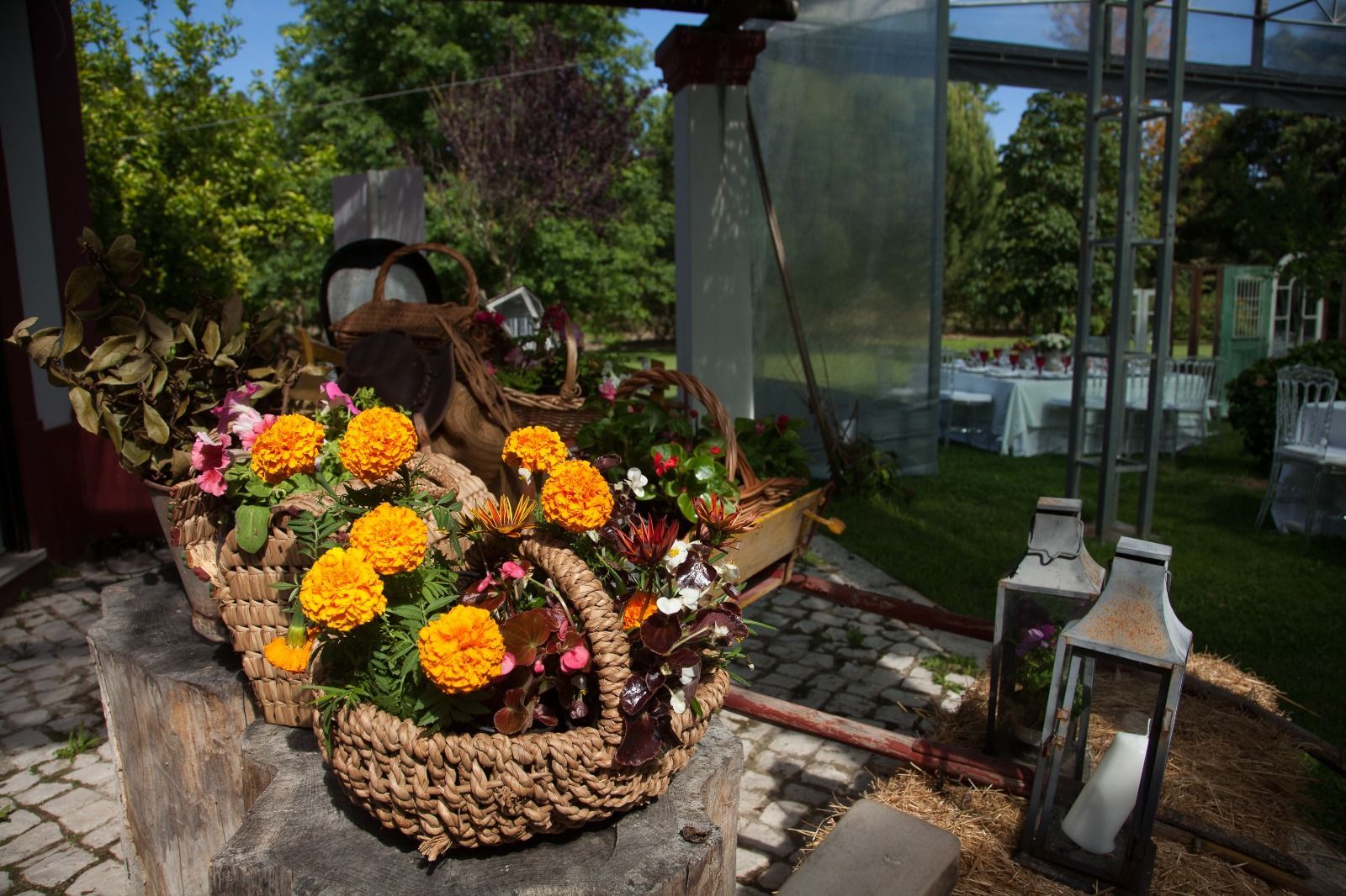 Arreglo floral en cesta tejida con flores naranjas y amarillas junto a faroles en un entorno soleado de jardín.
