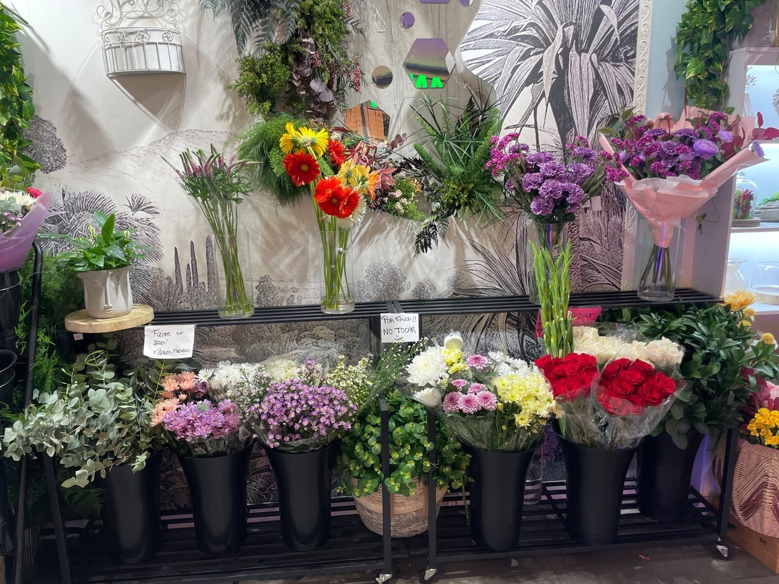 floristeria profesional madrid centro